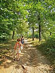 IMG_20240818_145329