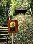 IMG_20240818_152449