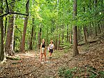 IMG_20240820_112725