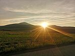 IMG_20240822_061751