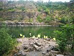 IMG_20240817_174959