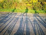 IMG_20240821_064142