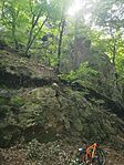 IMG_20240821_100406