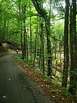 IMG_20240821_093930
