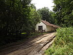 Zubogyi matuzsálem-4