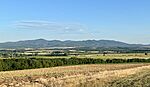 IMG_9099