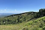 IMG_9120
