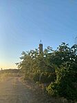 IMG_5610