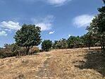 IMG_5957