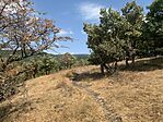 IMG_5952