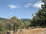 IMG_5951
