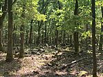 IMG_5938