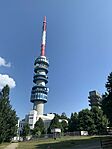 IMG_5978
