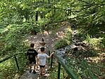 IMG_5916