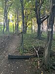IMG_5746