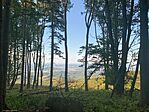 IMG_5745