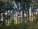 IMG_5738