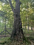 IMG_5737