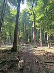IMG_6015