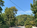 IMG_5833