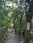 IMG_5808