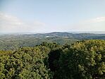 IMG_20240804_080452