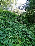 IMG_20240805_091414