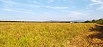 IMG_20240825_091016
