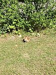 IMG_3334