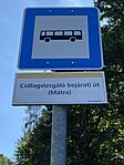 IMG_3337