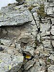 IMG_3413