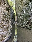 IMG_3383