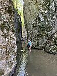 IMG_3384
