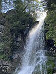 IMG_3490