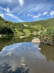 IMG_3481