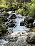 IMG_3518