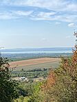 IMG_3546