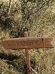 IMG_3542