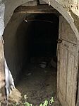 IMG_3547