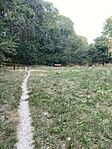 IMG_3562