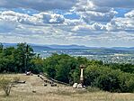 IMG_1416