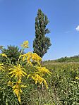 IMG_1520