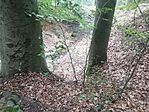 IMG_20240801_154343X