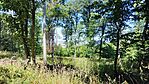 IMG_20240807_115056