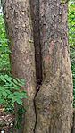 P_20240819_170023_vHDR_On_HP