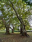 P_20240819_170946_vHDR_On_HP