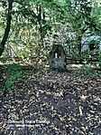 20240815_084504.heic