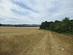 IMG_1657