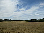 IMG_1664