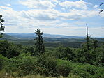 IMG_1687